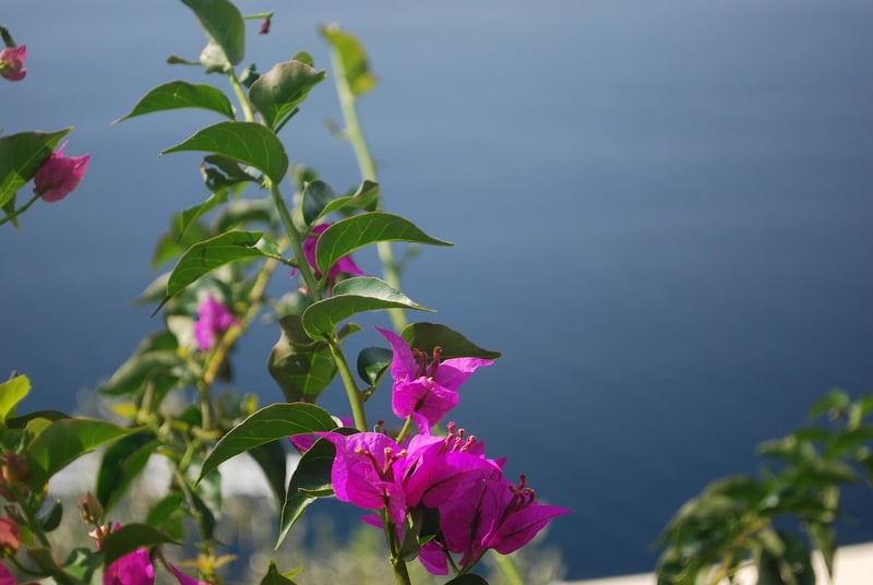 Amalfi Coast Escape